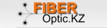 Fiberoptic Ltd. - Logo
