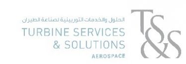 Turbine Services & Solutions - Logo