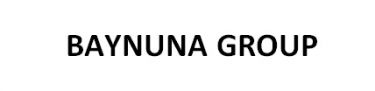 BAYNUNA GROUP - Logo