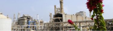 Ruwais Fertilizer Industries (FERTIL) - Pictures