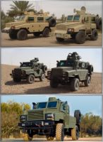 Integrated Convoy Protection (ICP) - Pictures