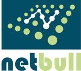 Netbull IT Services Ltd. - Logo