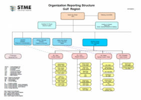 STME Ltd. (Systems Technology Middle East for Computers Co.) - Pictures 7